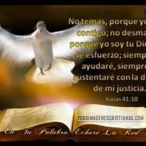 Meet your Posher, Rogelio